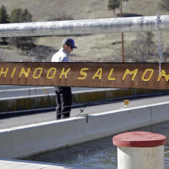 As work begins on the largest US dam removal project, tribes look to a future of growth